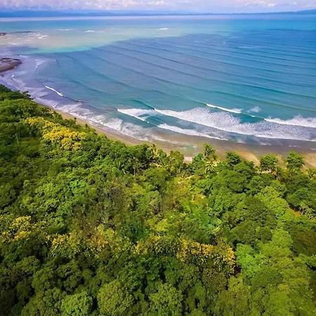 Four Monkeys Eco Lodge Jungle & Beach - The House Cabo Matapalo 外观 照片