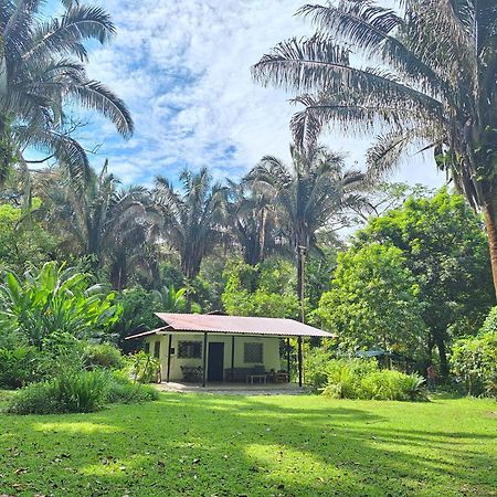 Four Monkeys Eco Lodge Jungle & Beach - The House Cabo Matapalo 外观 照片