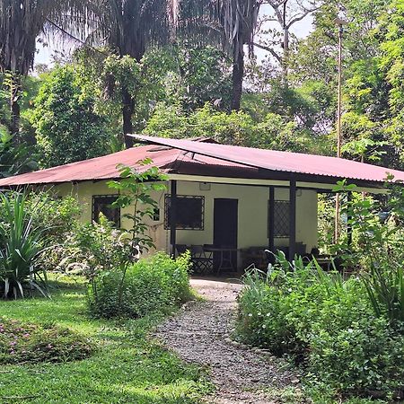 Four Monkeys Eco Lodge Jungle & Beach - The House Cabo Matapalo 外观 照片