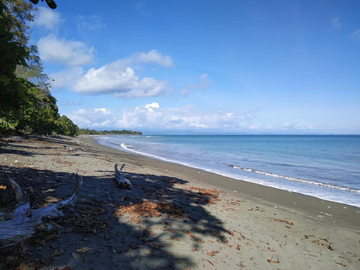 Four Monkeys Eco Lodge Jungle & Beach - The House Cabo Matapalo 外观 照片