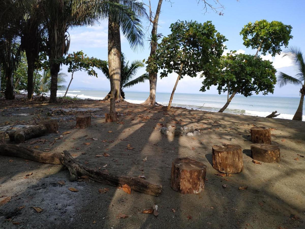 Four Monkeys Eco Lodge Jungle & Beach - The House Cabo Matapalo 外观 照片
