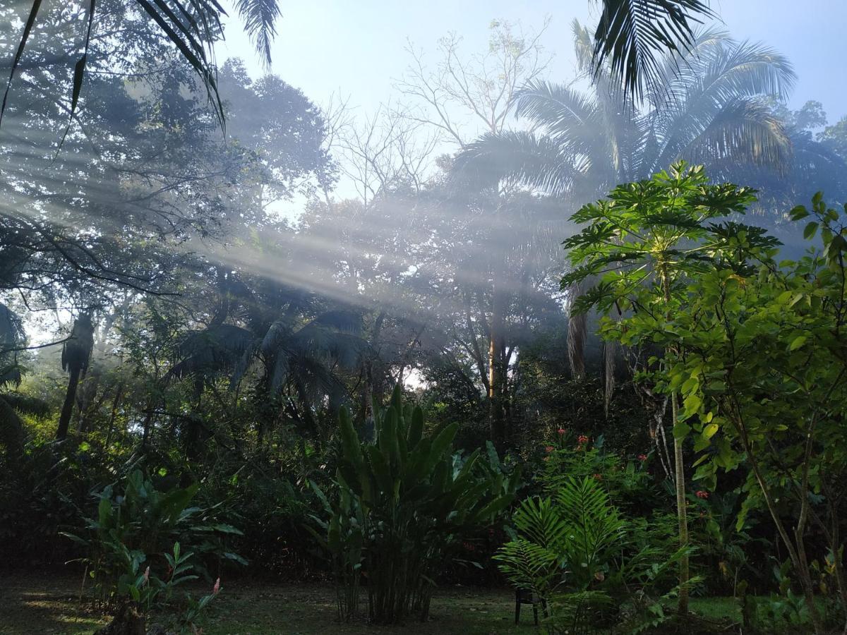 Four Monkeys Eco Lodge Jungle & Beach - The House Cabo Matapalo 外观 照片