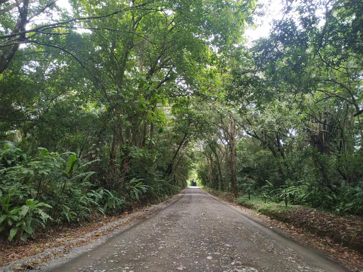 Four Monkeys Eco Lodge Jungle & Beach - The House Cabo Matapalo 外观 照片