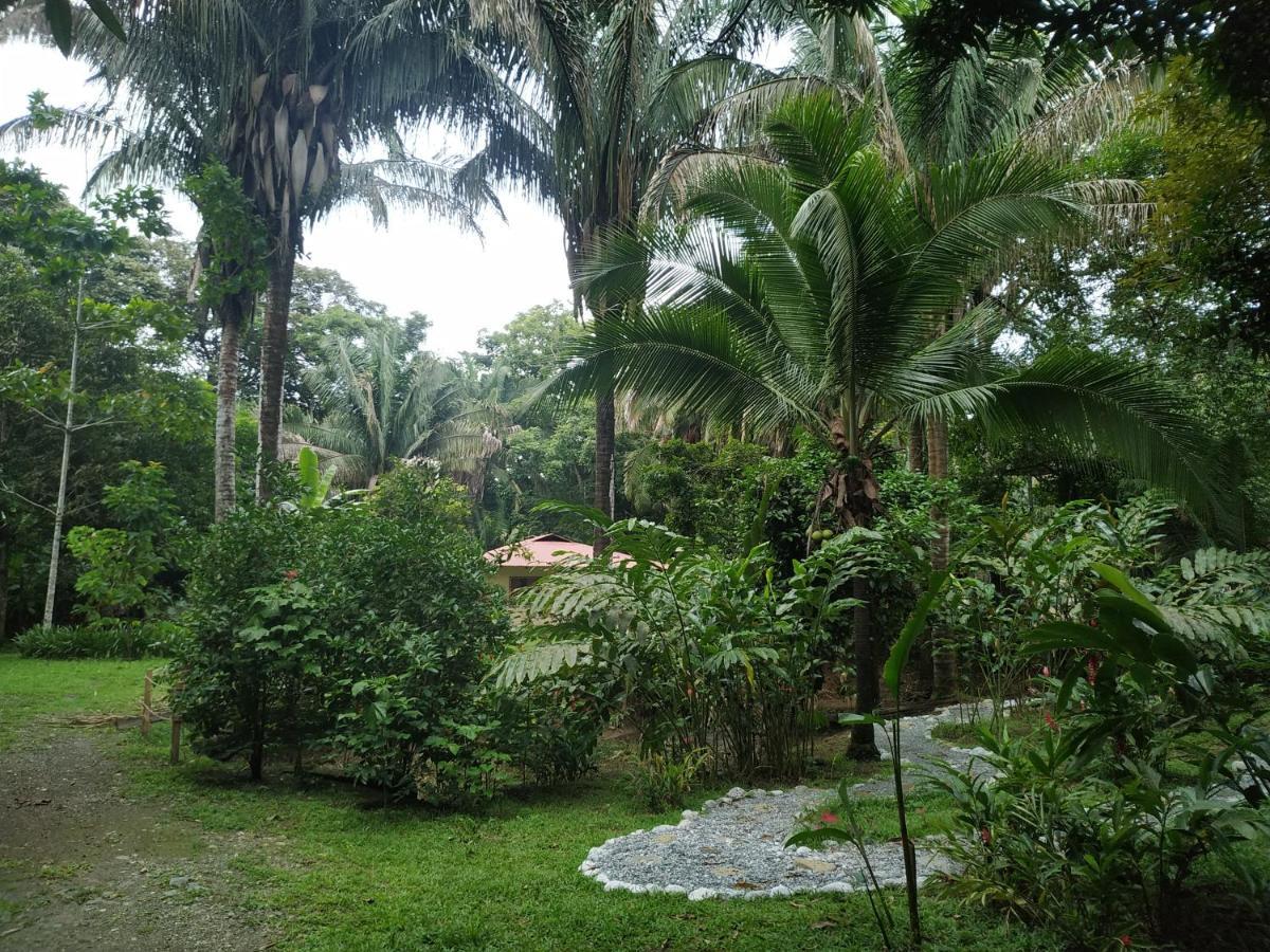 Four Monkeys Eco Lodge Jungle & Beach - The House Cabo Matapalo 外观 照片