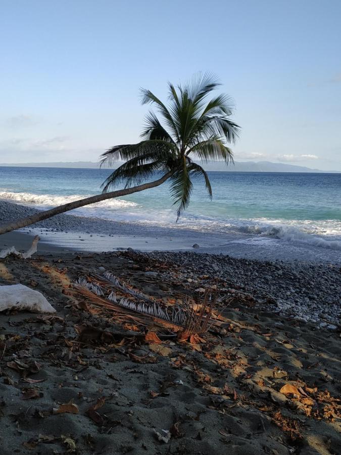 Four Monkeys Eco Lodge Jungle & Beach - The House Cabo Matapalo 外观 照片