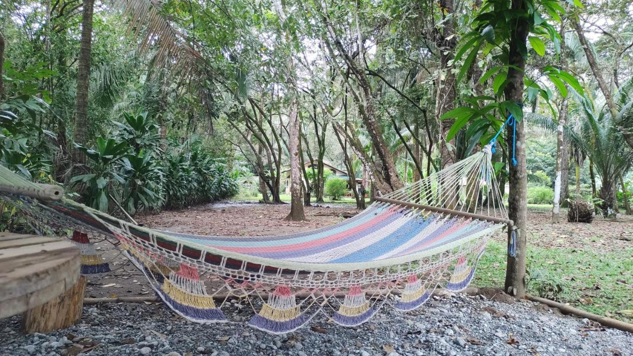 Four Monkeys Eco Lodge Jungle & Beach - The House Cabo Matapalo 外观 照片