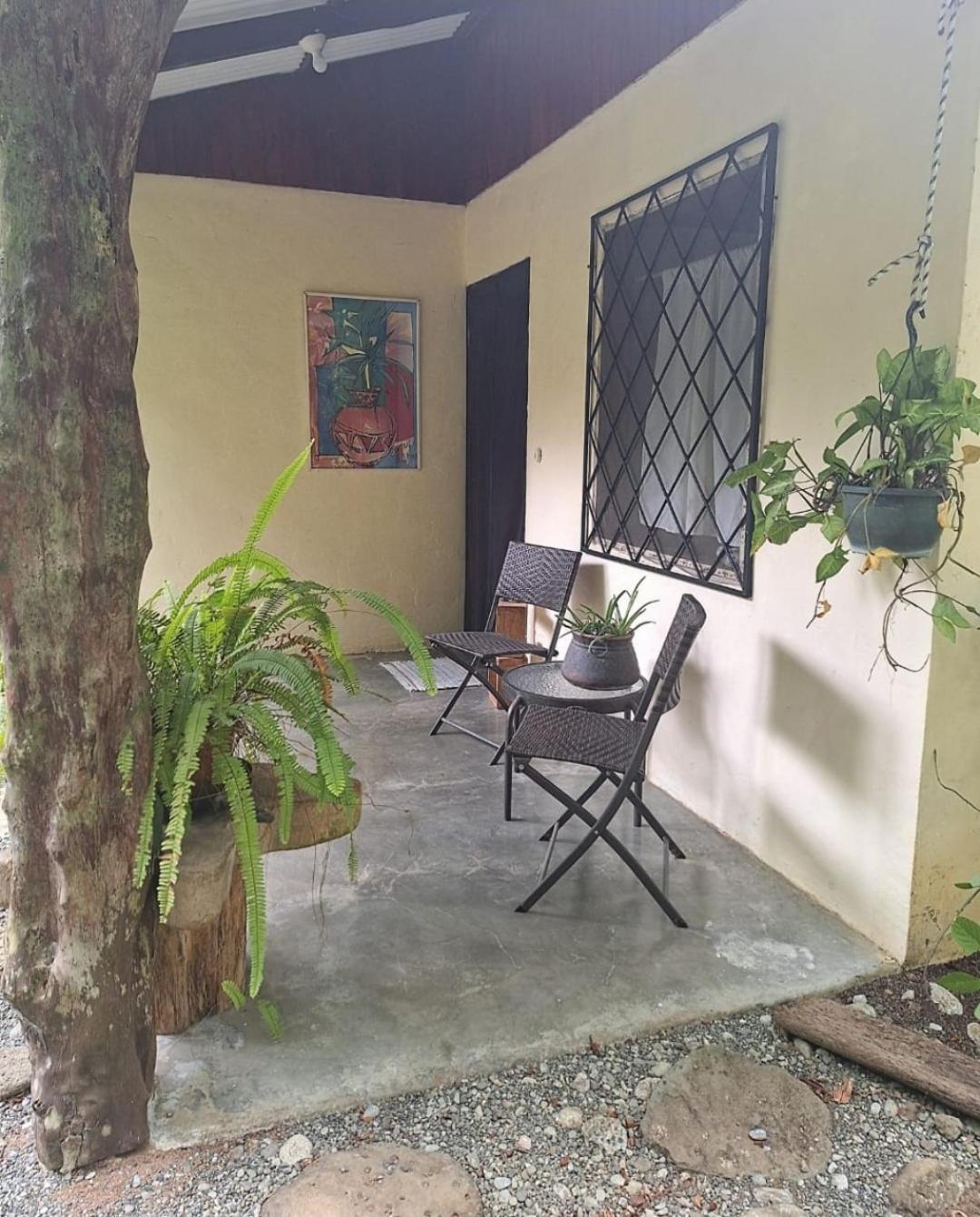 Four Monkeys Eco Lodge Jungle & Beach - The House Cabo Matapalo 外观 照片