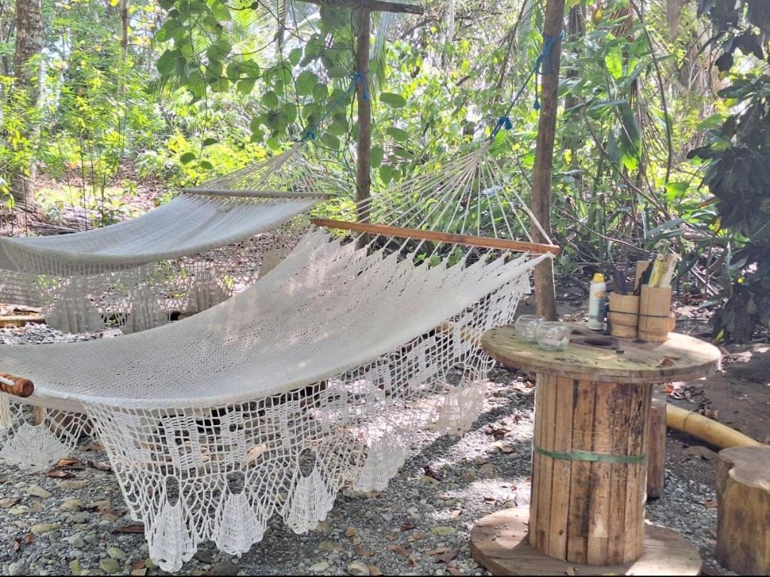 Four Monkeys Eco Lodge Jungle & Beach - The House Cabo Matapalo 外观 照片