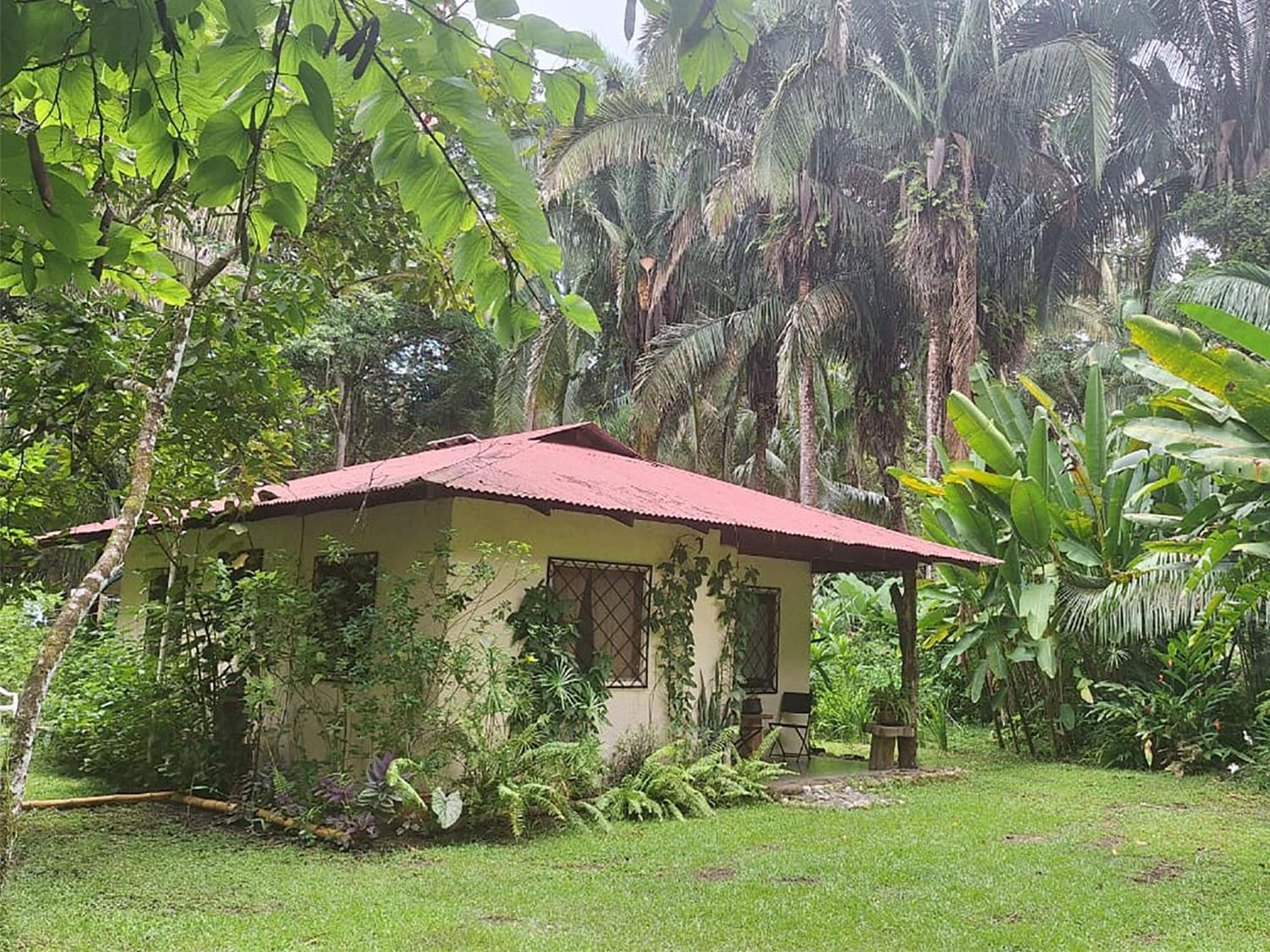 Four Monkeys Eco Lodge Jungle & Beach - The House Cabo Matapalo 外观 照片