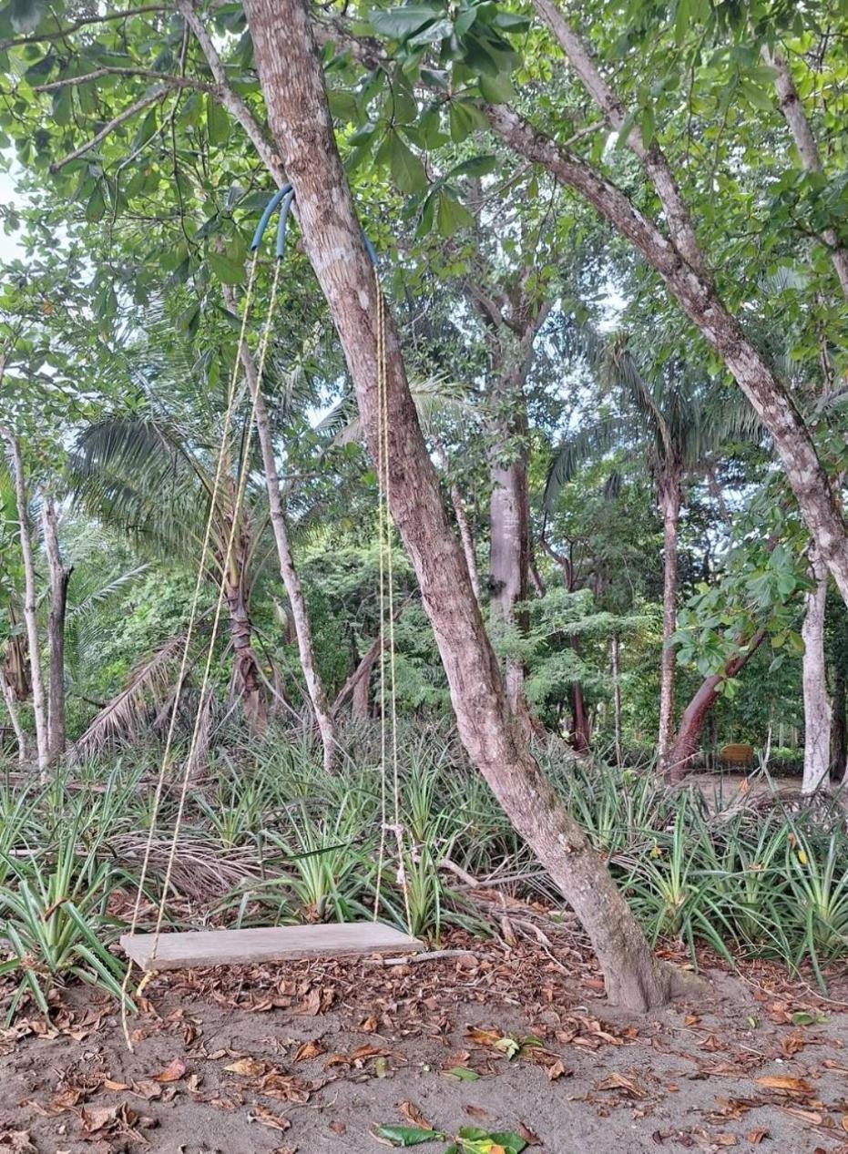 Four Monkeys Eco Lodge Jungle & Beach - The House Cabo Matapalo 外观 照片