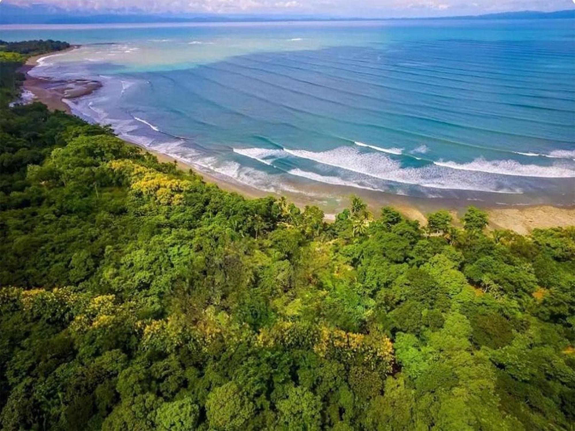 Four Monkeys Eco Lodge Jungle & Beach - The House Cabo Matapalo 外观 照片