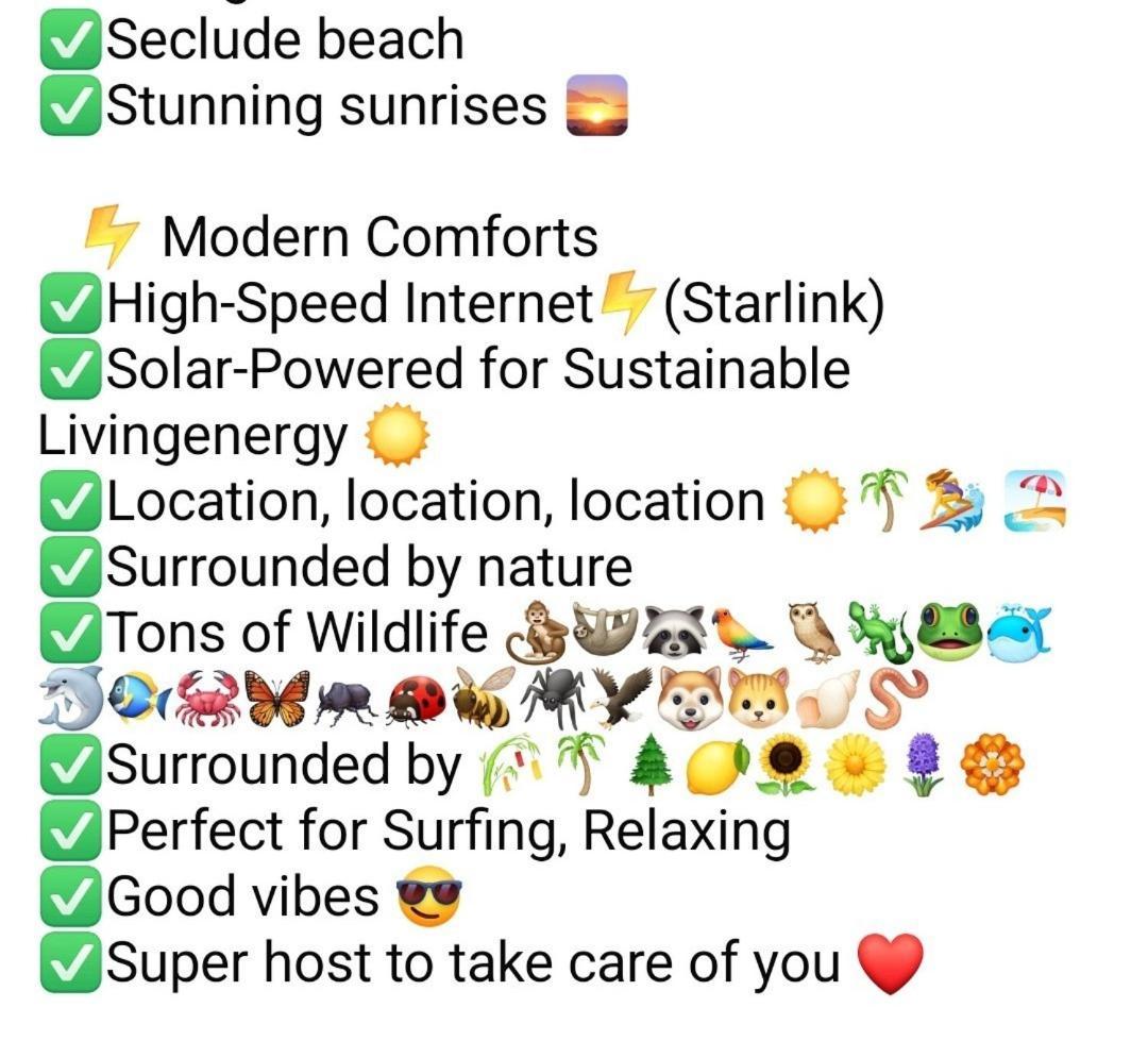 Four Monkeys Eco Lodge Jungle & Beach - The House Cabo Matapalo 外观 照片