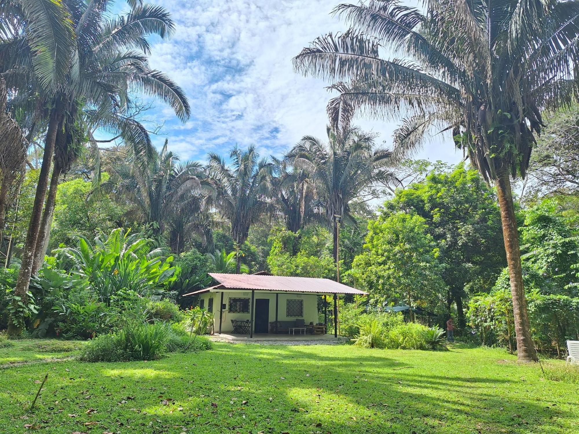 Four Monkeys Eco Lodge Jungle & Beach - The House Cabo Matapalo 外观 照片
