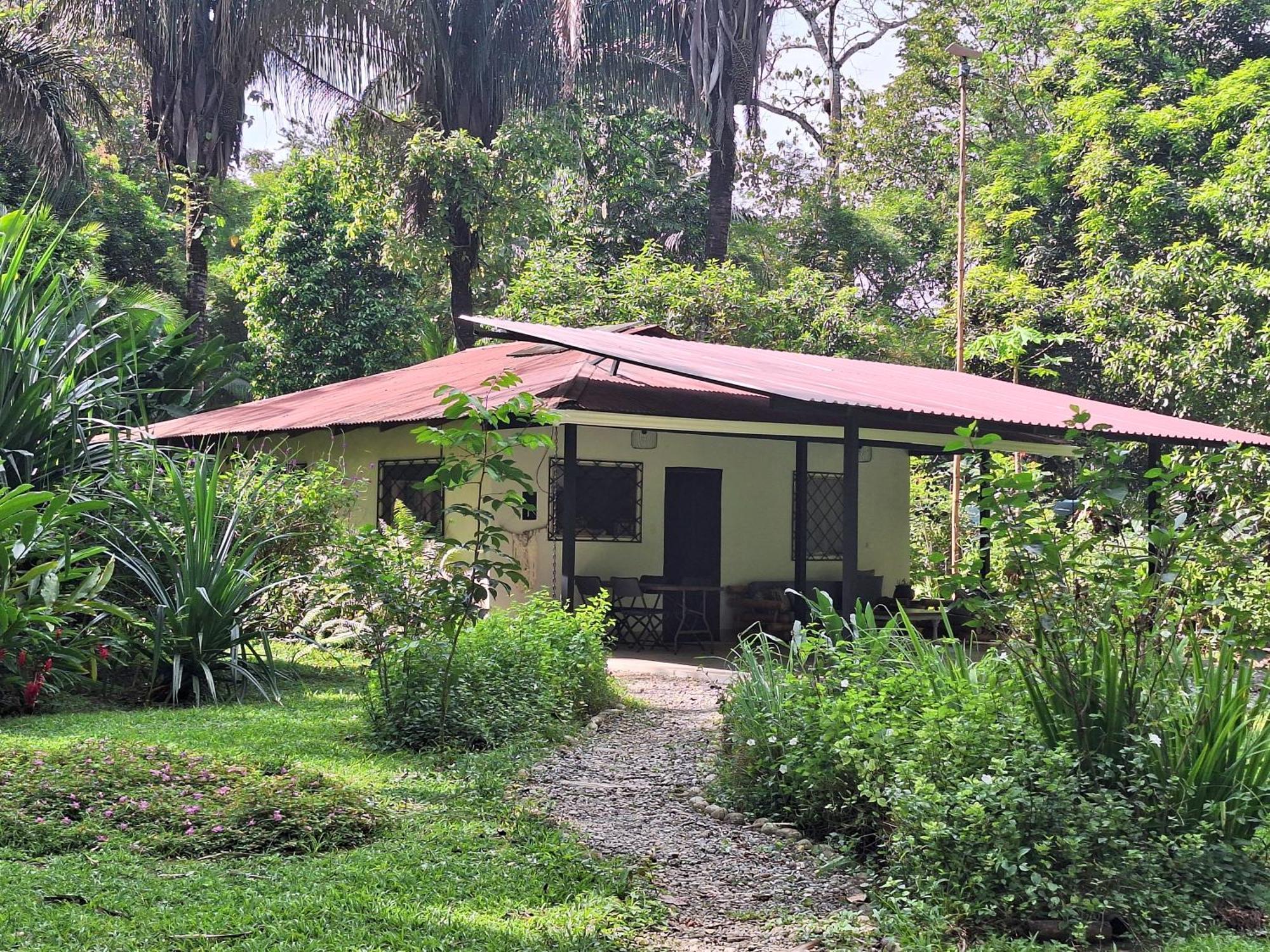 Four Monkeys Eco Lodge Jungle & Beach - The House Cabo Matapalo 外观 照片
