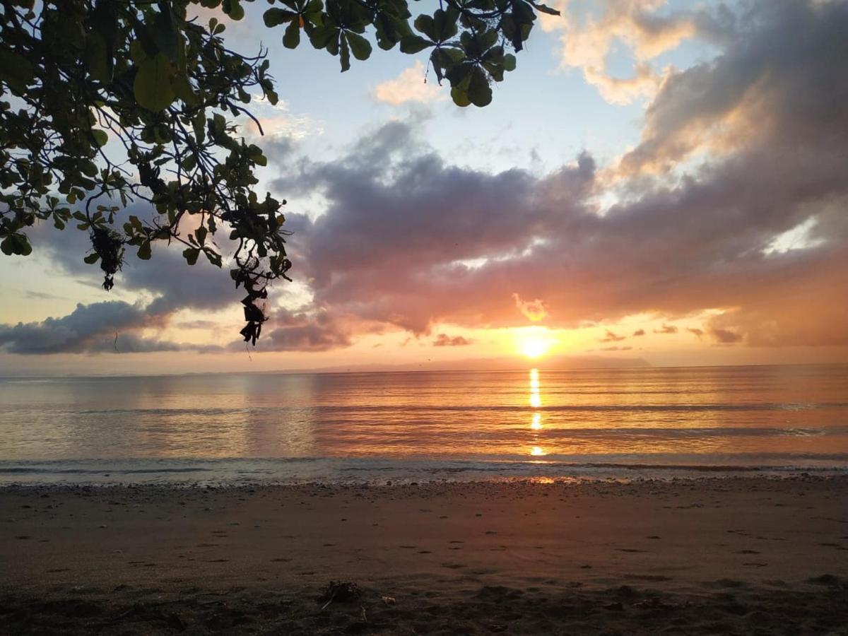 Four Monkeys Eco Lodge Jungle & Beach - The House Cabo Matapalo 外观 照片